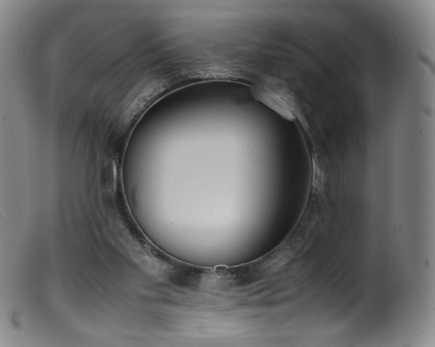 X0000099550109200805161502