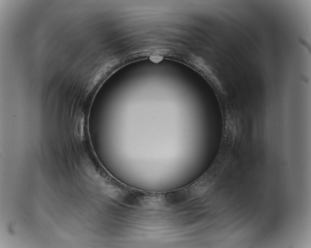 X0000099550110200805161502