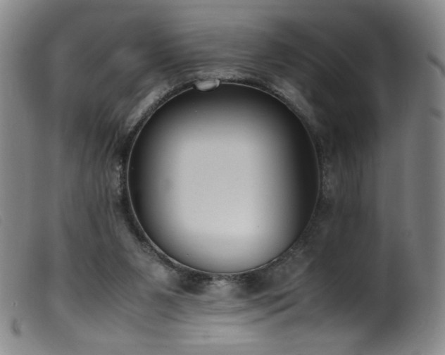 X0000099550111200805161502