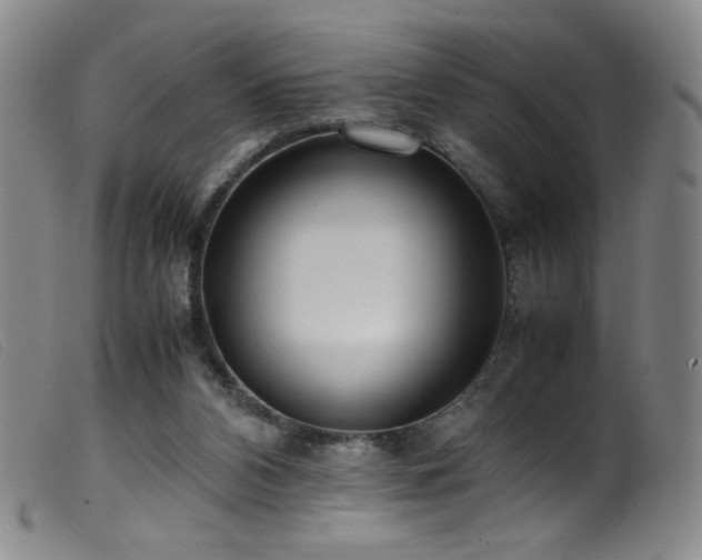 X0000099550112200805161502