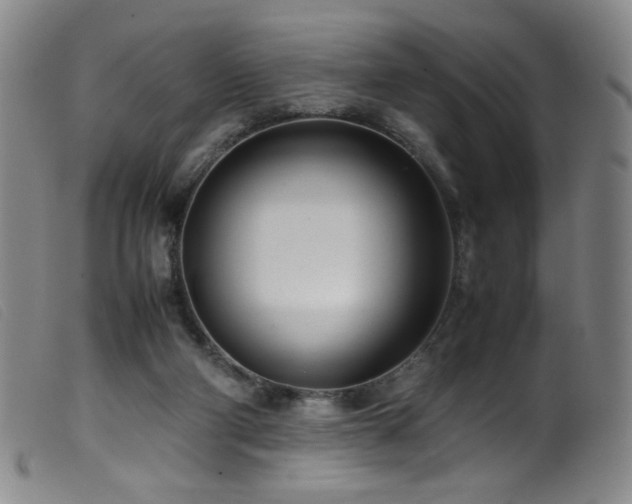 X0000099550114200805161501
