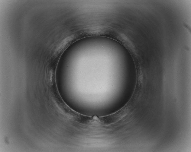 X0000099550115200805161501