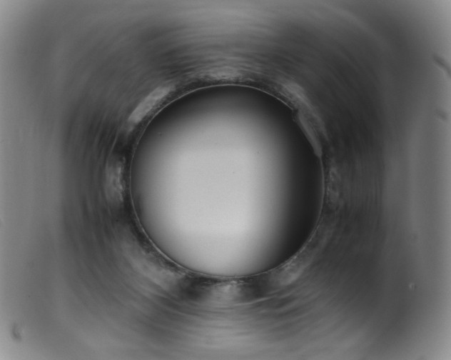 X0000099550116200805161501