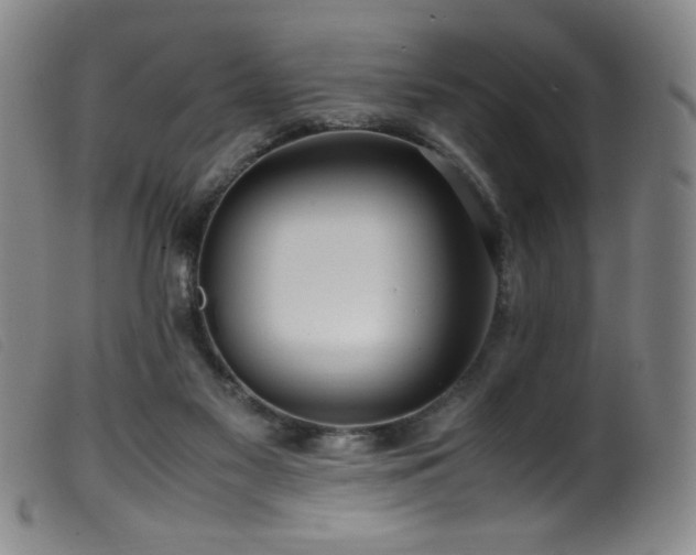 X0000099550117200805161501