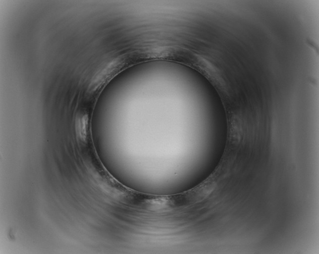 X0000099550118200805161501