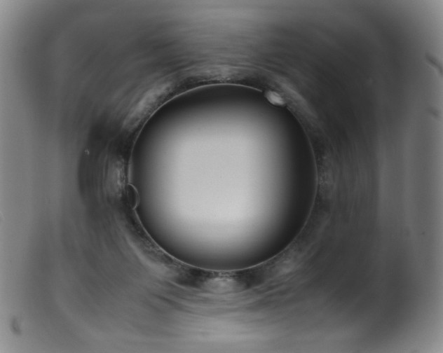 X0000099550119200805161501