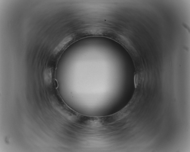 X0000099550120200805161501