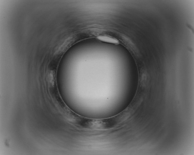 X0000099550121200805161501