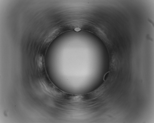 X0000099550122200805161501