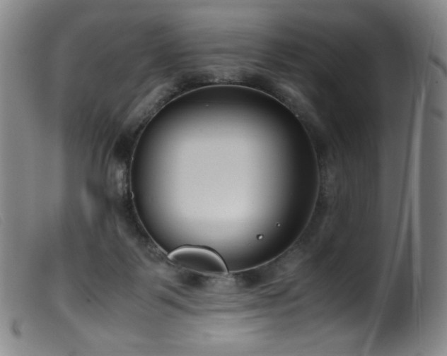 X0000099550123200805161501