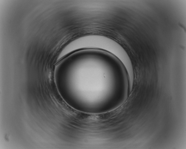 X0000099550124200805161501