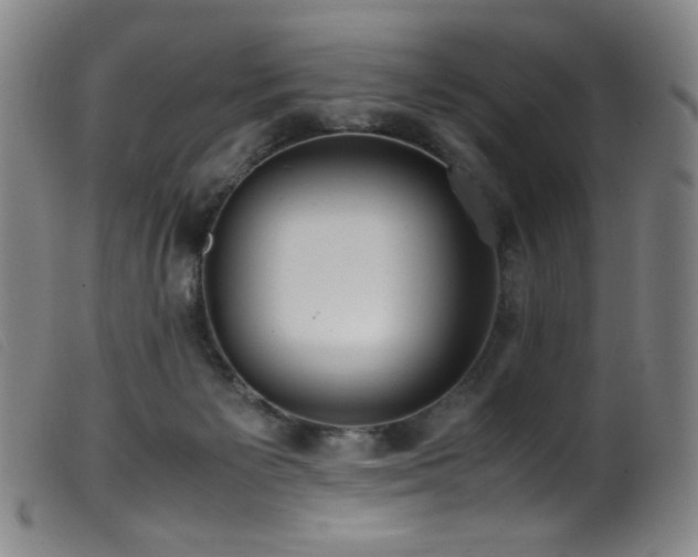 X0000099550125200805161501