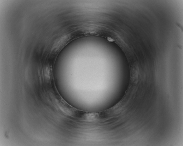X0000099550126200805161501
