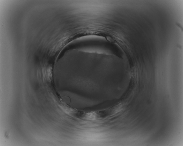 X0000099550127200805161501