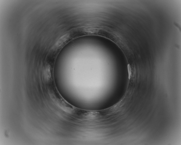 X0000099550128200805161501