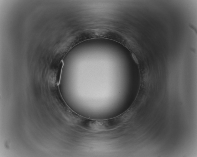 X0000099550129200805161501