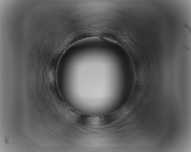 X0000099550131200805161501