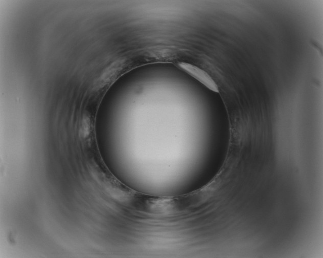 X0000099550132200805161501