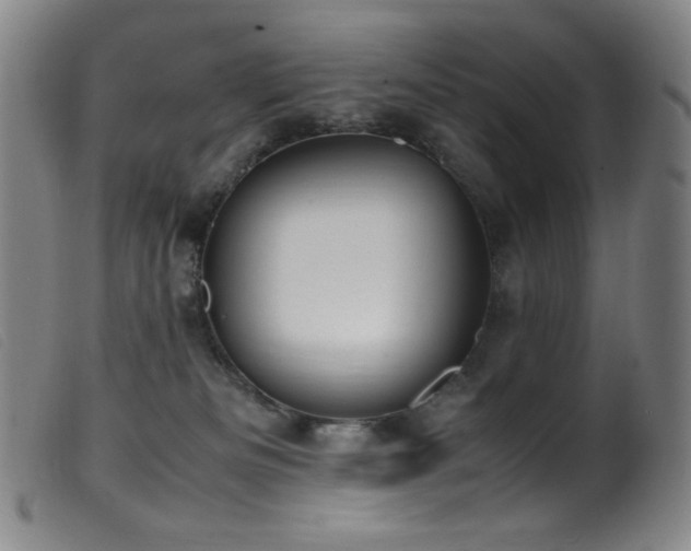 X0000099550133200805161501