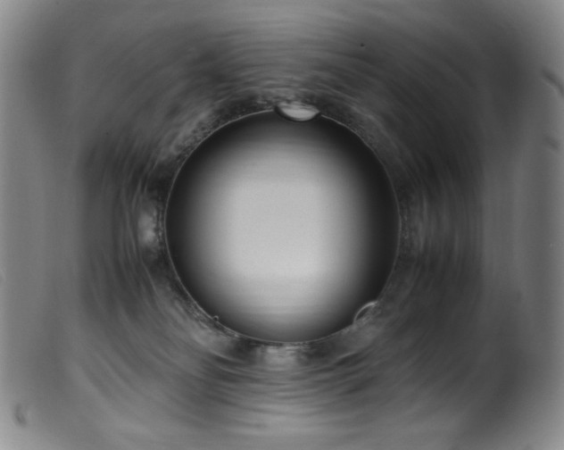 X0000099550134200805161501