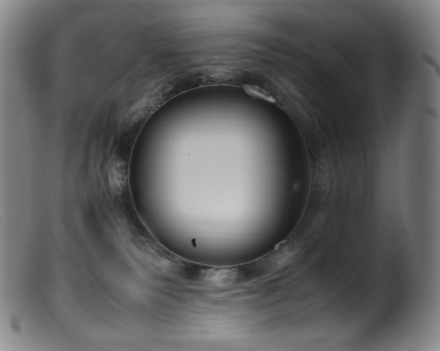X0000099550135200805161501