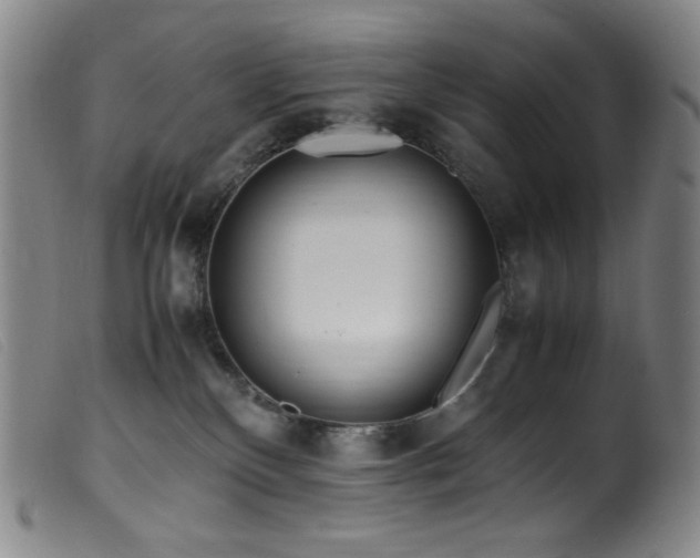 X0000099550136200805161501