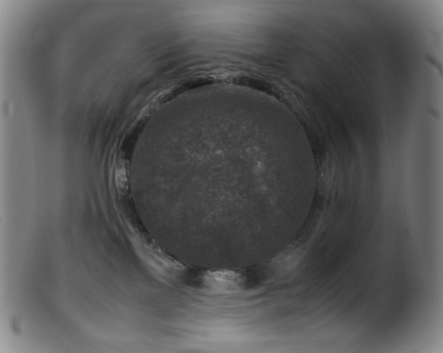 X0000099550137200805161501