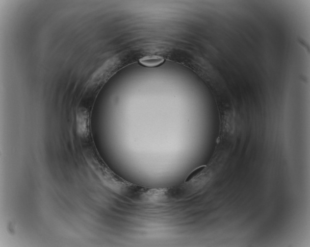 X0000099550138200805161501