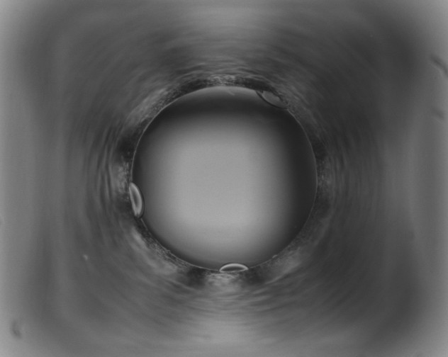 X0000099550139200805161501
