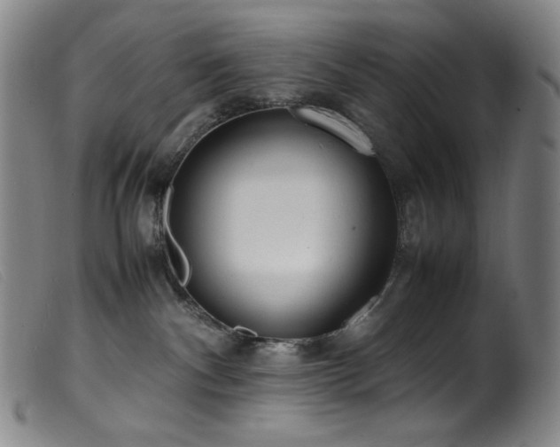 X0000099550140200805161501