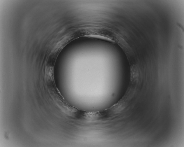 X0000099550141200805161501