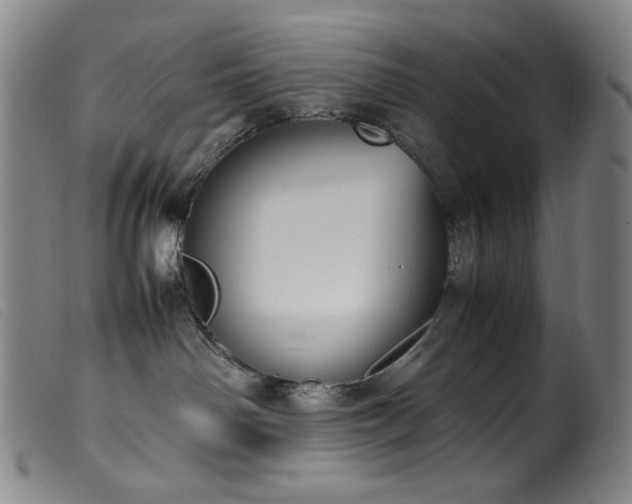 X0000099550142200805161501