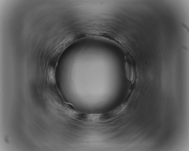 X0000099550143200805161501