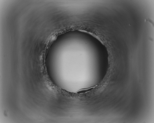 X0000099550144200805161501