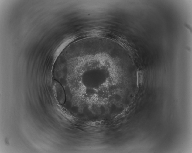 X0000099550147200805161500