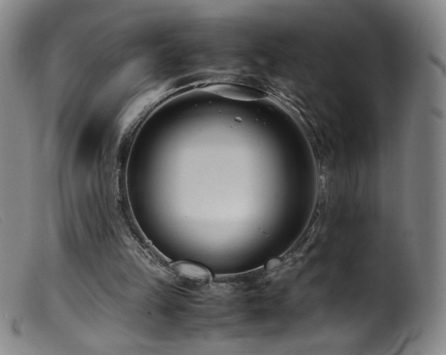 X0000099550149200805161500