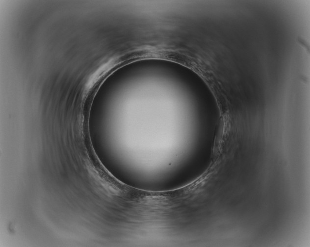 X0000099550150200805161500