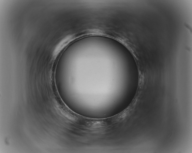 X0000099550151200805161500