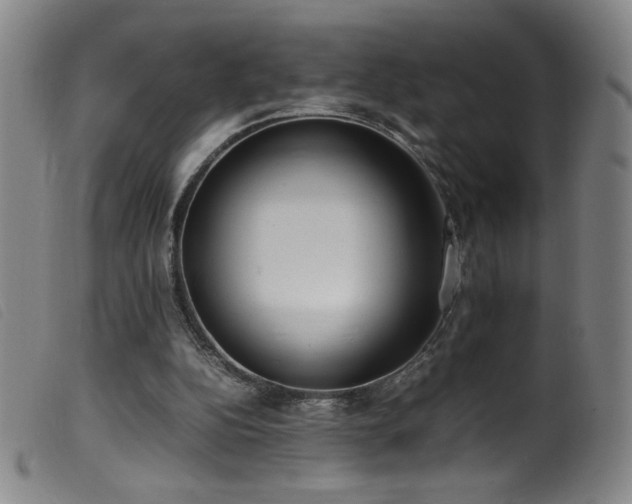 X0000099550152200805161500