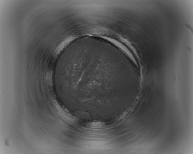 X0000099550154200805161500