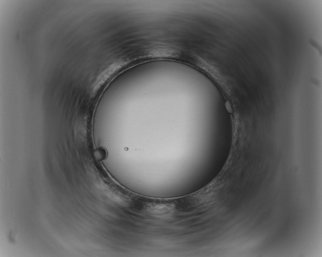 X0000099550155200805161500