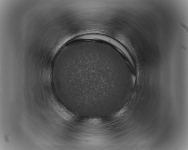X0000099550156200805161500