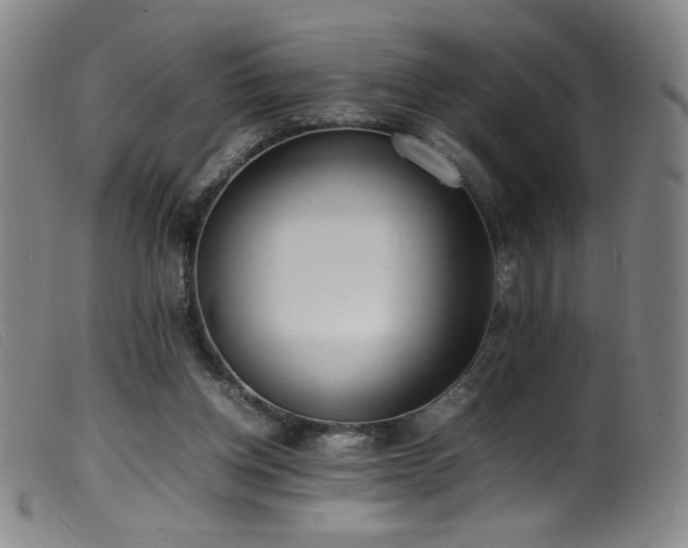 X0000099550158200805161500