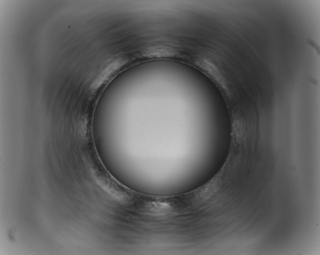 X0000099550159200805161501