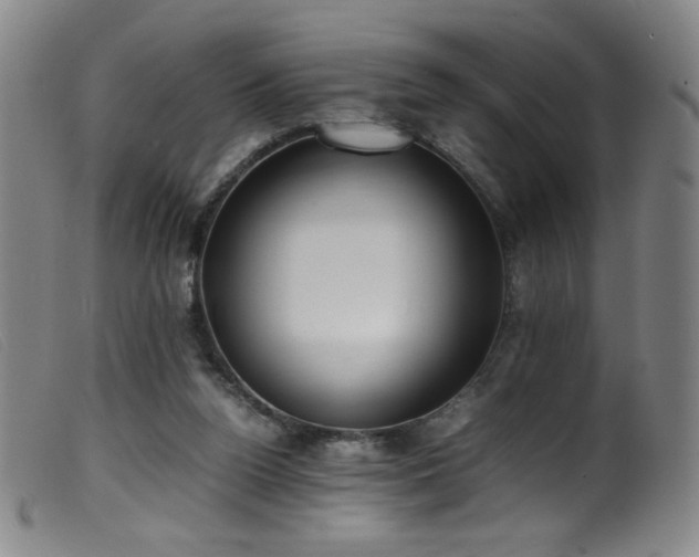 X0000099550160200805161501