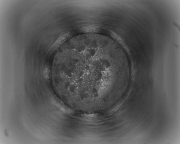 X0000099550161200805161501