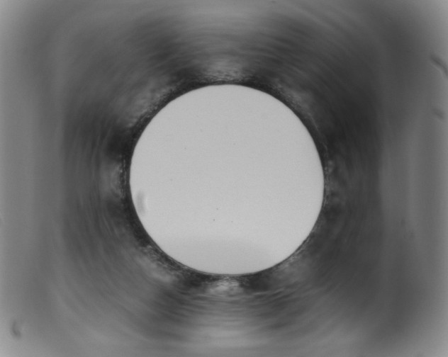X0000099550162200805161501