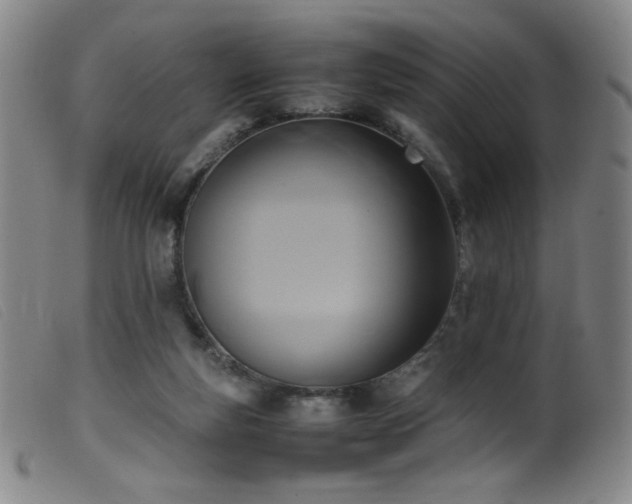 X0000099550163200805161501