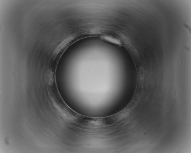 X0000099550164200805161501