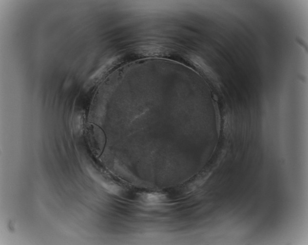 X0000099550165200805161501
